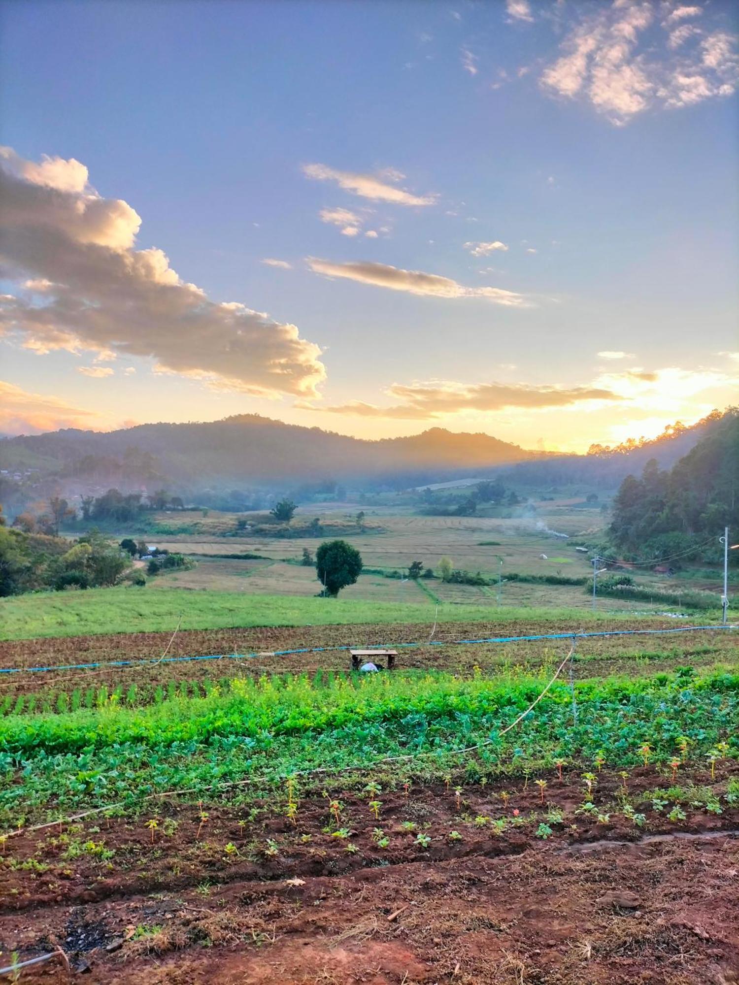فندق สวนไร่รุ่งอรุณ Suan Rai Rungarun Ban Na Pa Paek المظهر الخارجي الصورة